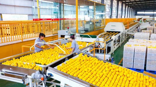 2021中国·重庆潼南国际柠檬节将于10月21日启动
