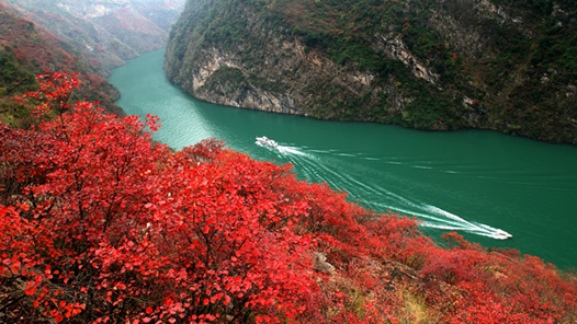 第十五届中国·重庆长江三峡（巫山）国际红叶节26日开幕