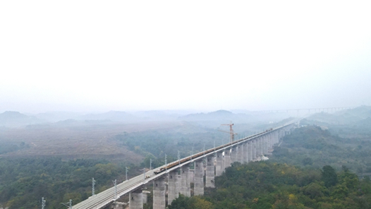 重庆东环线水土双线特大桥顺利铺通