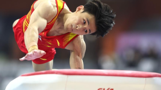 体操——全国锦标赛：男子个人全能赛况