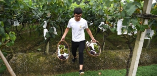 内蒙古自治区教科文卫体工会开展“助力乡村振兴，职工志愿服务”活动